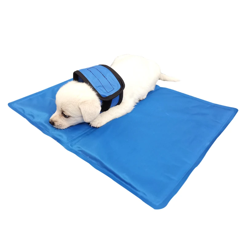 

Pet cooling pad help stay cool no electricity physical dog cooling mat