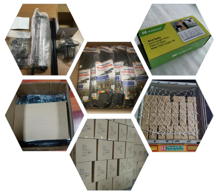 Packing &delivery.png