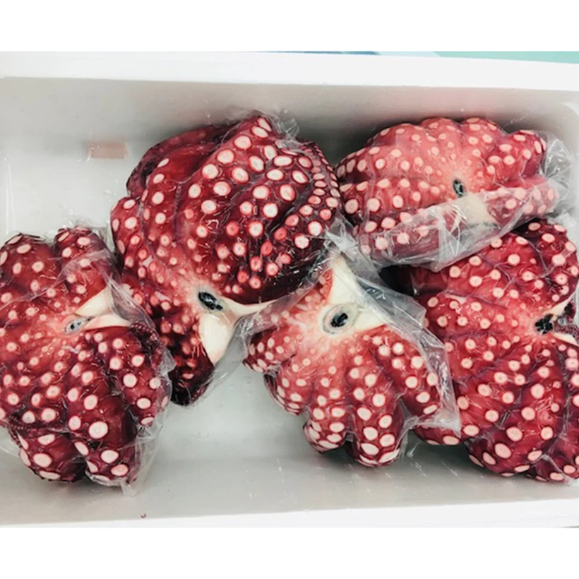 
Japan 10kg steamed original taste octopus wholesale fish sushi food 