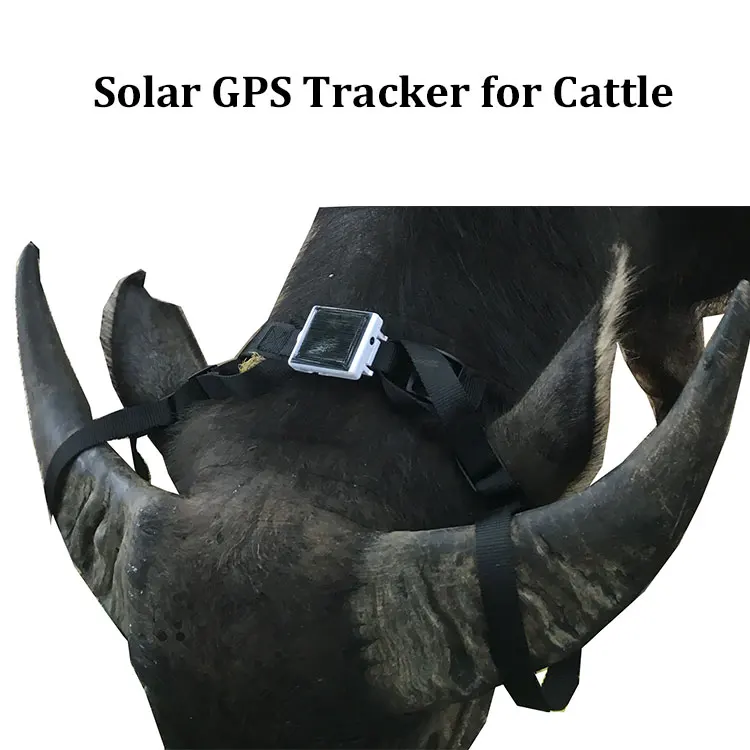 Cheap Small Cattle Gps Tracker Small Gps Tracker For Cattle Horse Cow