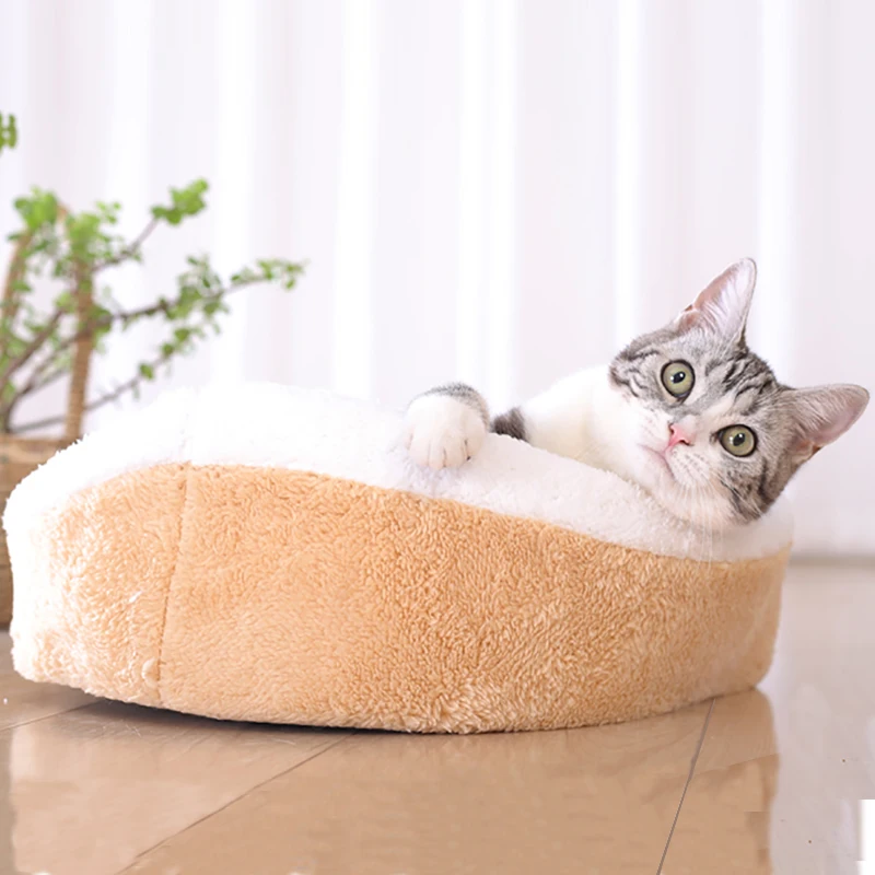 Clam cat. Clam cat