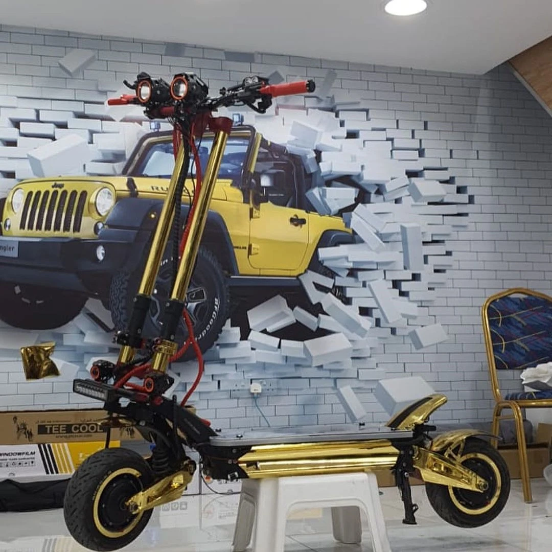 

Fast speed scooter electrique zero 11x e scooter x11 DDM electric scooter 3000w