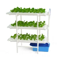 

2020 Good selling Auto Vertical farming Agriculture Hydroponic NFT Farm Irrigation Systems For Vegetables And Fruits