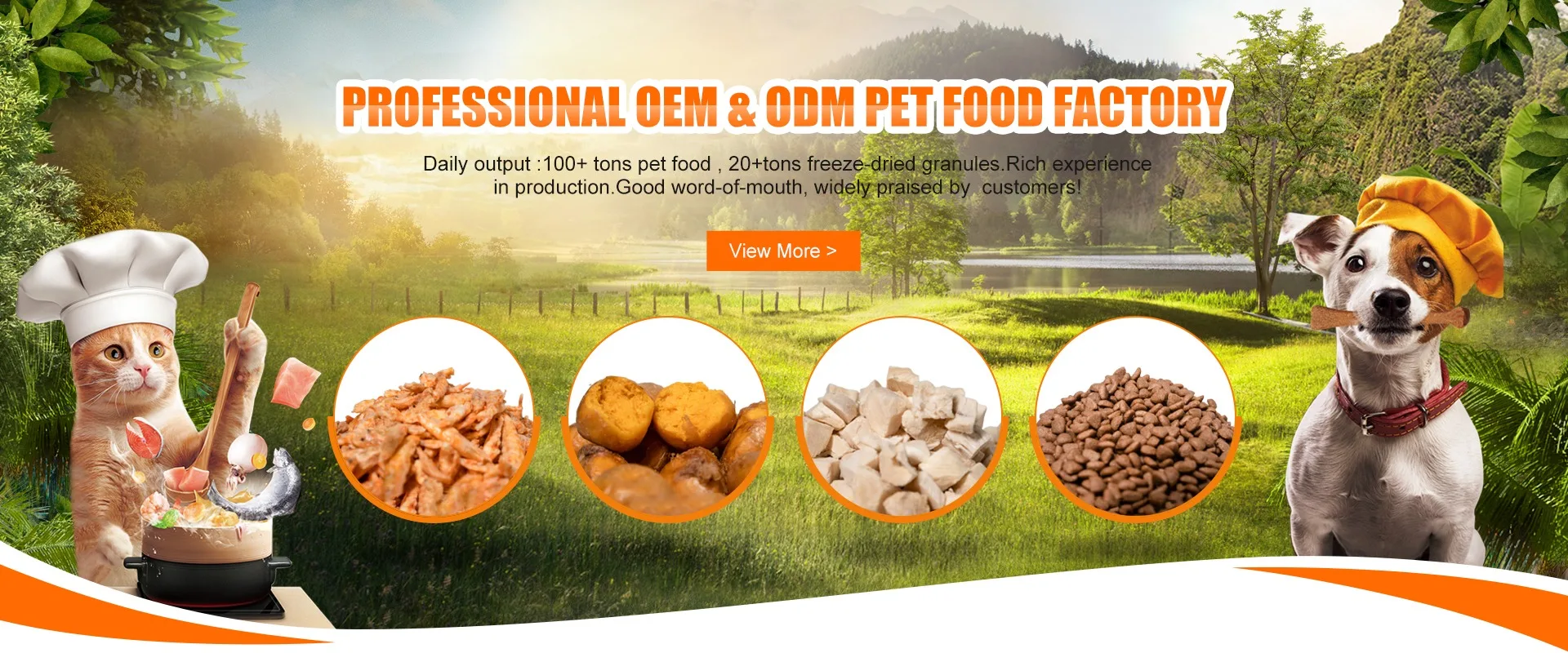 Tianjin Laifu Pet Products Co., Ltd. Cat Food, Lyophilization