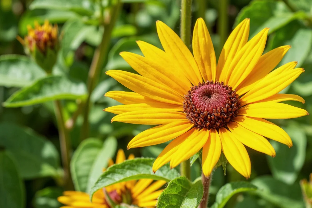 Optimal Plant Care Tips for Thriving Gardens 2025
