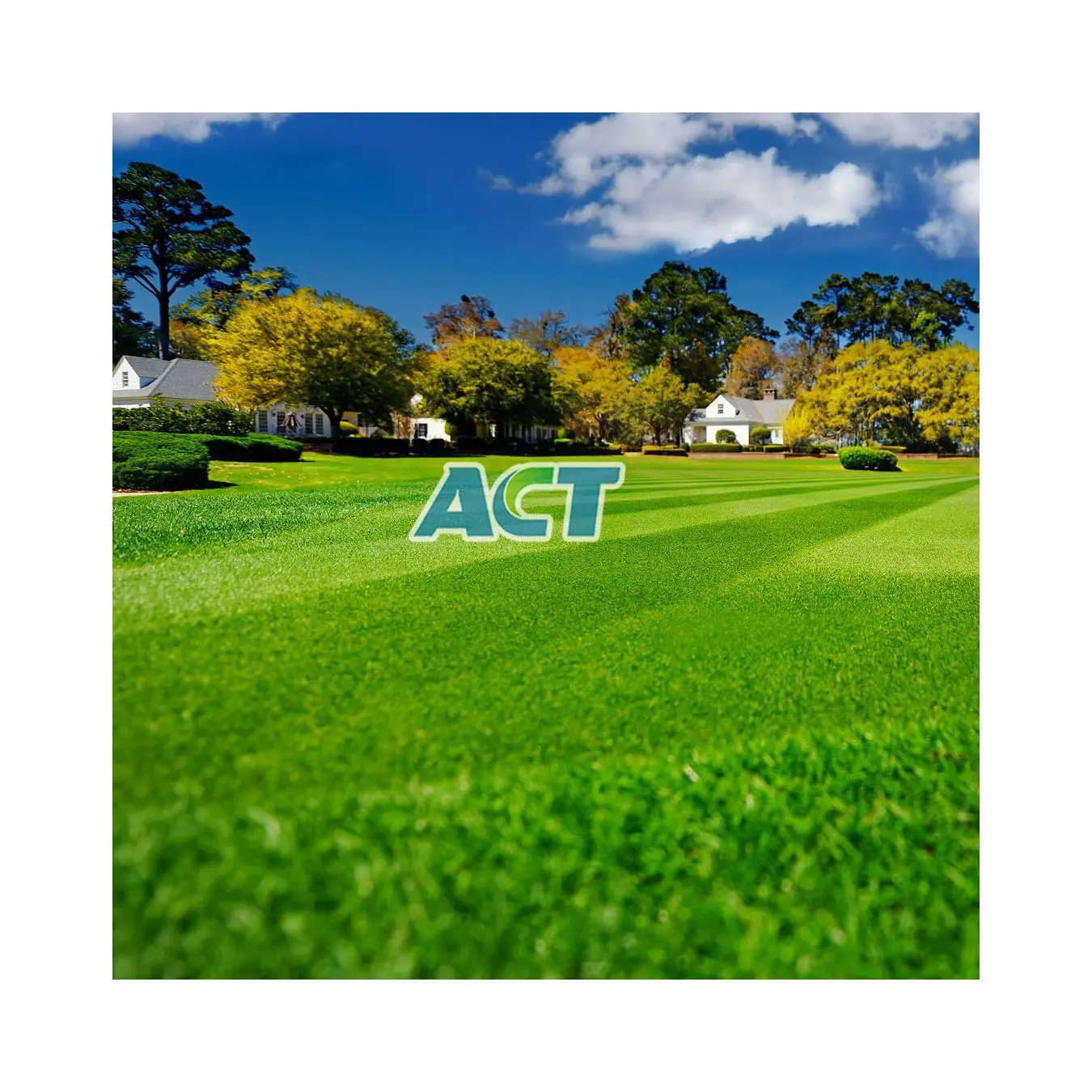

Putting green turf G13-1 mini golf turf artificial grass putting green