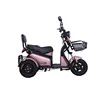 /product-detail/new-popular-two-seat-tri-cycle-60v-voltage-motor-pedal-electric-3-wheel-tricycle-62253926815.html