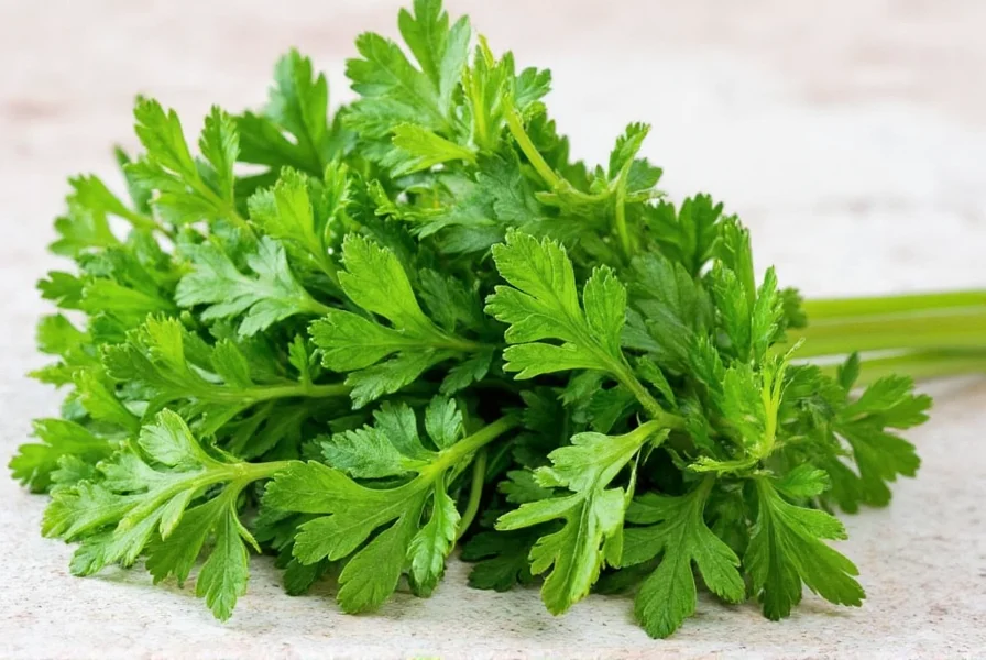 Parsley bunches in a supermarket display