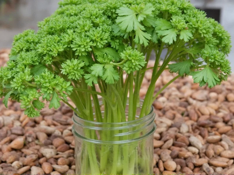 Best Coriander Root Alternatives for Cooking
