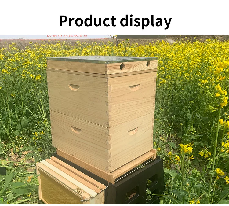 Factory Supply Australian Pine Wood Bee Hive With 10 Frame / High ...