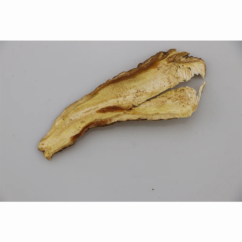 
Factory Supply Best Quality 100% Natural chinses angelica seeds 