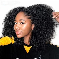 

Afro Mongolian Kinky Curly Human Hair Wigs 13x4 Lace Front Wig Sunlight Natural Pre Plucked Remy Hair Lace Wigs For Black Women