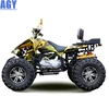AGY modern tech engine atv 250cc