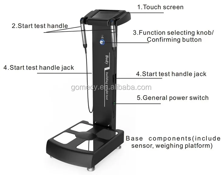 Newest measuring height scale body fat analyzer with printer.JPG