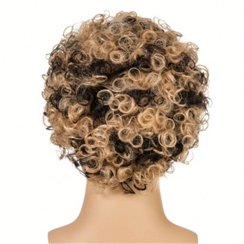 

Men Classic Wigs Natural African Brazilian Hair Head Short Curly New Human Wig