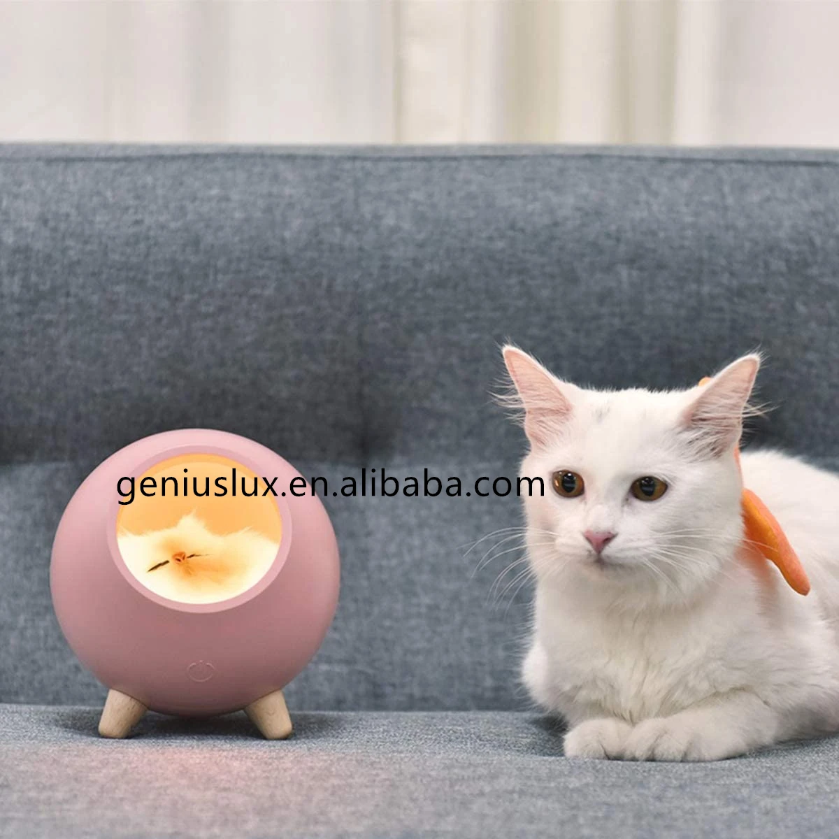 
Fashion Cute Cat Pet House Ambience Lamp USB Charging Cute Cartoon Mini Led Night Light Home Decoration Dropship 