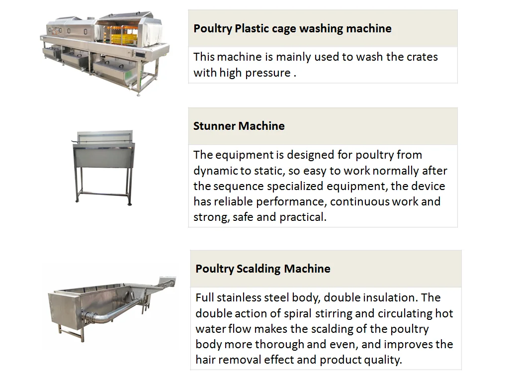 Chicken Slaughtering Line Killing Cone For Poultry Buy Chicken