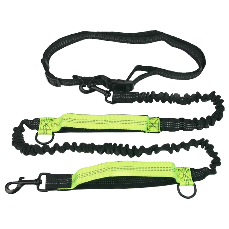 

Factory Double Handle Belt Bungee Outdoor Reflective Pet Dog Jogging Running Hands Free Lead Leash