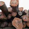 Okoume timber for pole solid hard wood table chair flooring furniture materials doors storage boxes