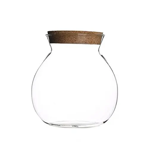 

Clear Storage terrarium with cork, Ball shape sealed terrarium, Tea, Coffee, Candy storage