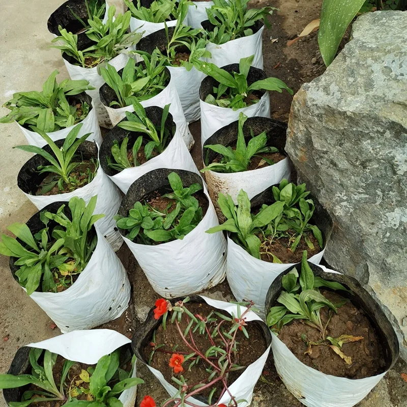 Fast Delivery Grow Bags White Plastic Poly,Pe Polyethylene Grow Bags