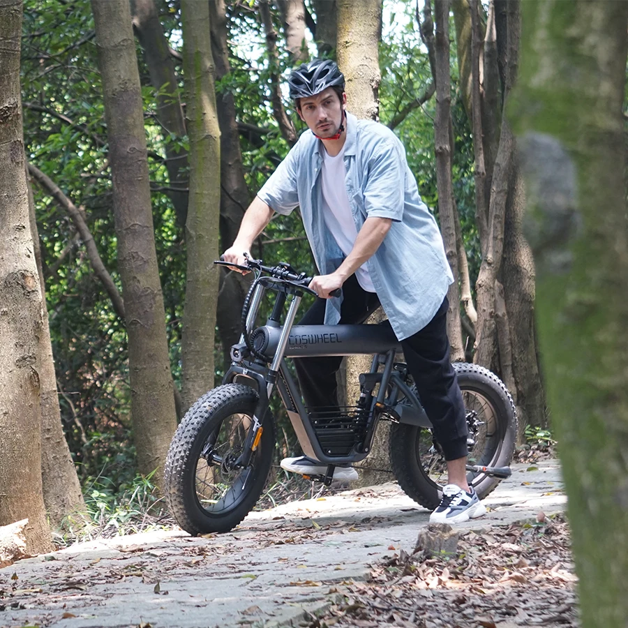 

High-quality Retro Bike Men's Urban Leisure Bicycles USA Workr Bicycles