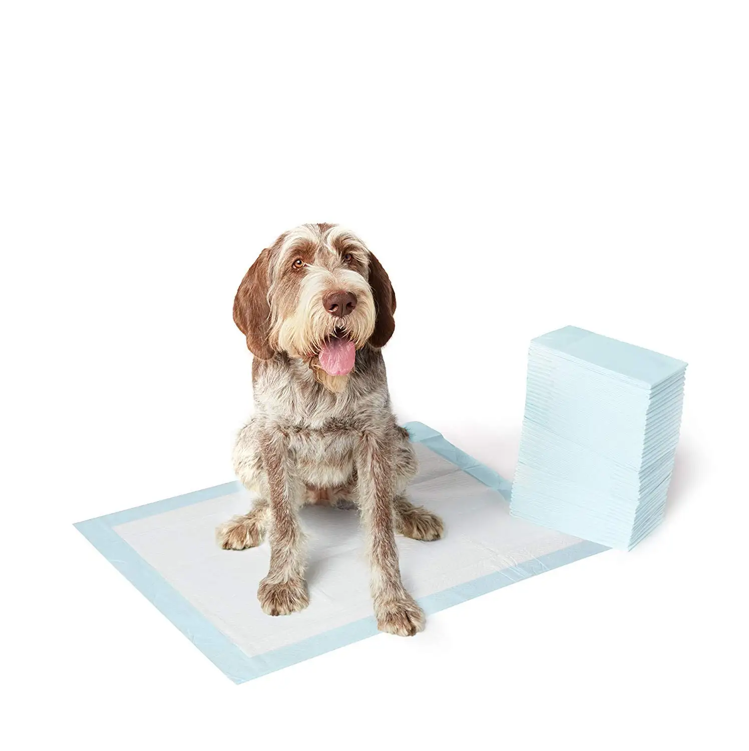 

Regular popular eco-friendly dog absorbent dog training pads, White blue