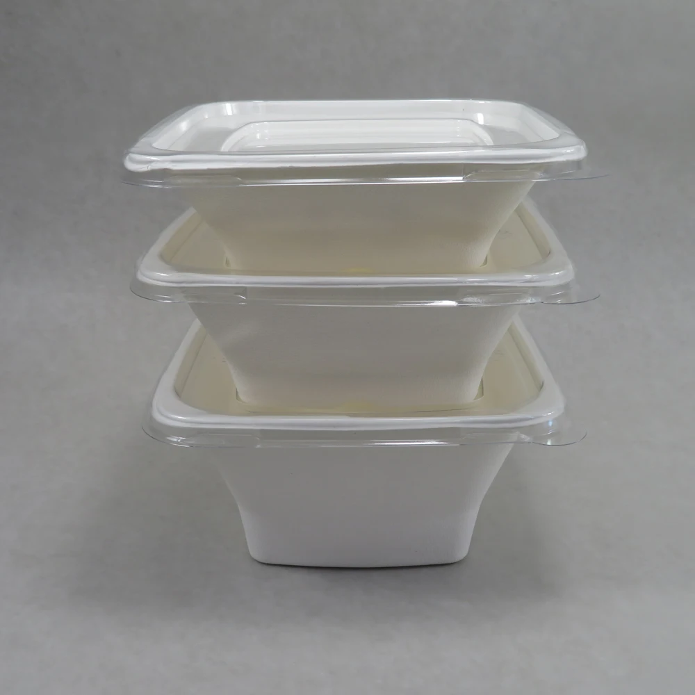 

Biodegradable disposable Sugarcane Bagasse 24oz 32oz 40oz Square Salad bowl, White,natural color