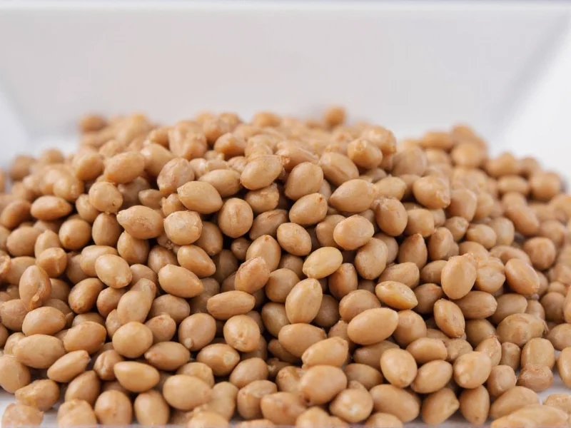 Can Dogs Eat Lentil Beans? Vet-Approved Facts