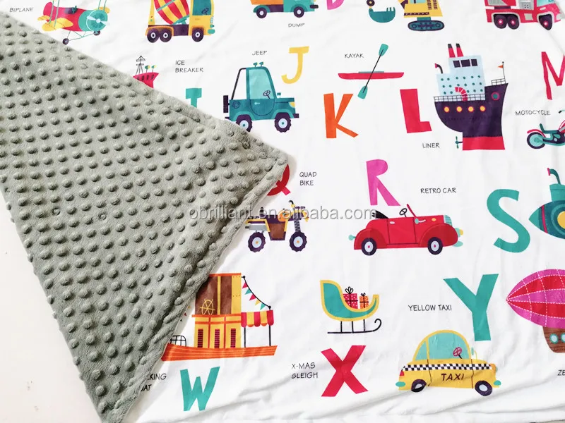 Baby Minky Dot Blanket