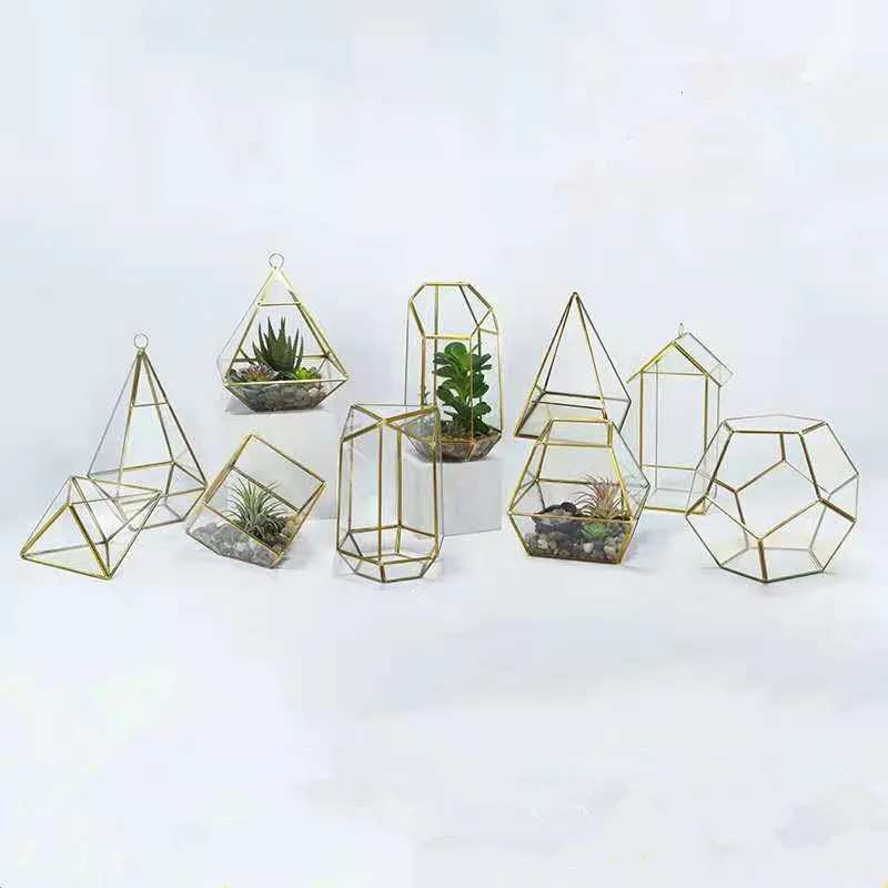

Wholesale irregular Glass golden geometric Terrarium Glass for tabletop succulent plant planter, Black and gold