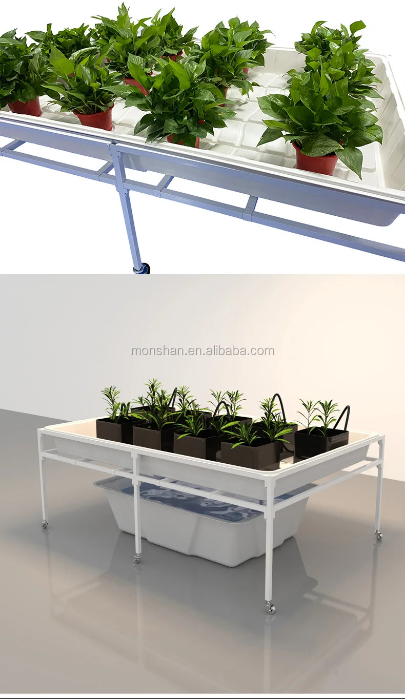 Smart agriculture solution supplier | Monshan