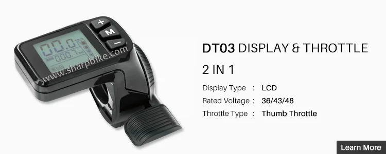 DT03.jpg