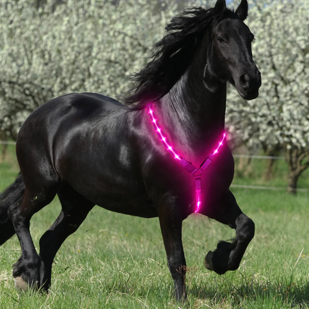 

New Arrival Led Light Flashing Driving Harness Breast Collar Horse, Black, red, green, blue, pink, orange, yellow