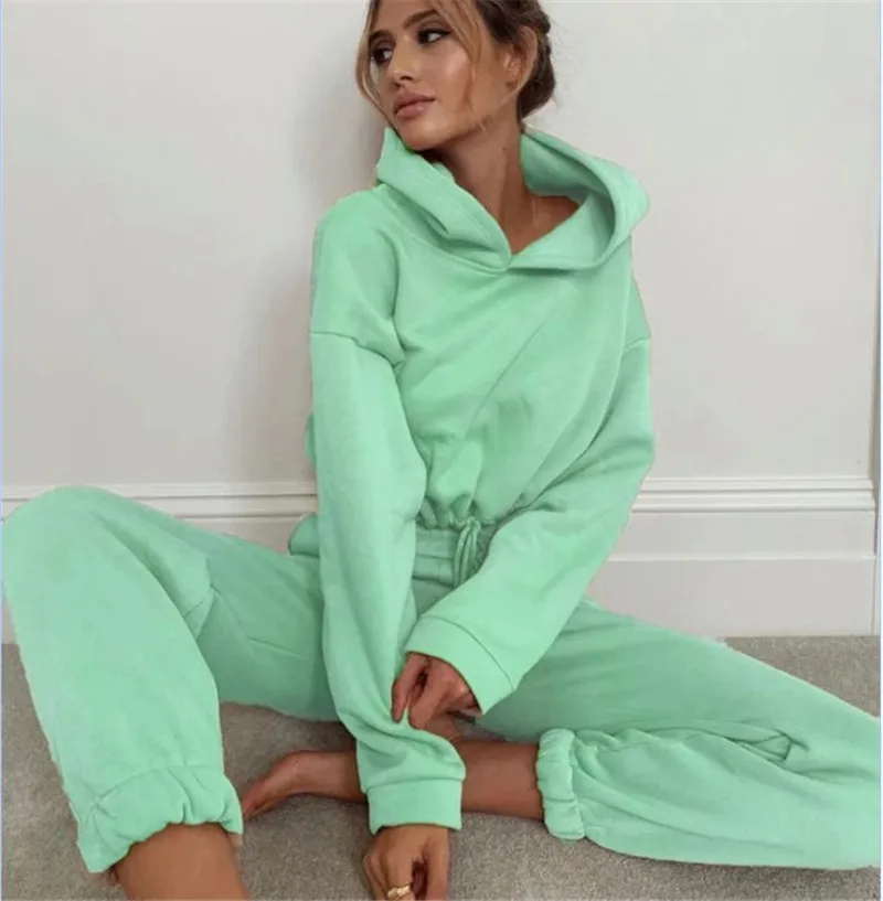 

high quality custom logo blank solid color 2 two piece tracksuit loungewear woman clothing cropped top hoodie sets for women, Show