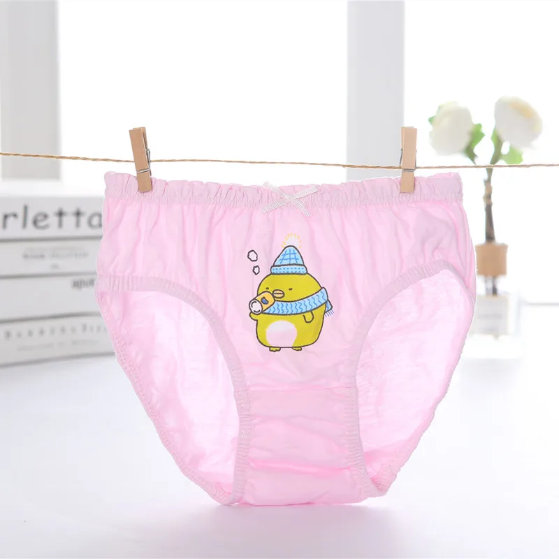 Qrity 5 Pack Little Girls Baby Underwear Knickers Soft Cotton Kids Underwear Size 3-8 Years 