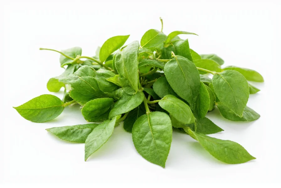 Ivy Pepper: Clarifying the Botanical Confusion