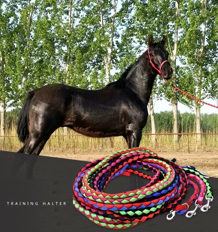 

6M Poly Horse Lead Rope,Webbing Horse Leash, Weaving Horse reins