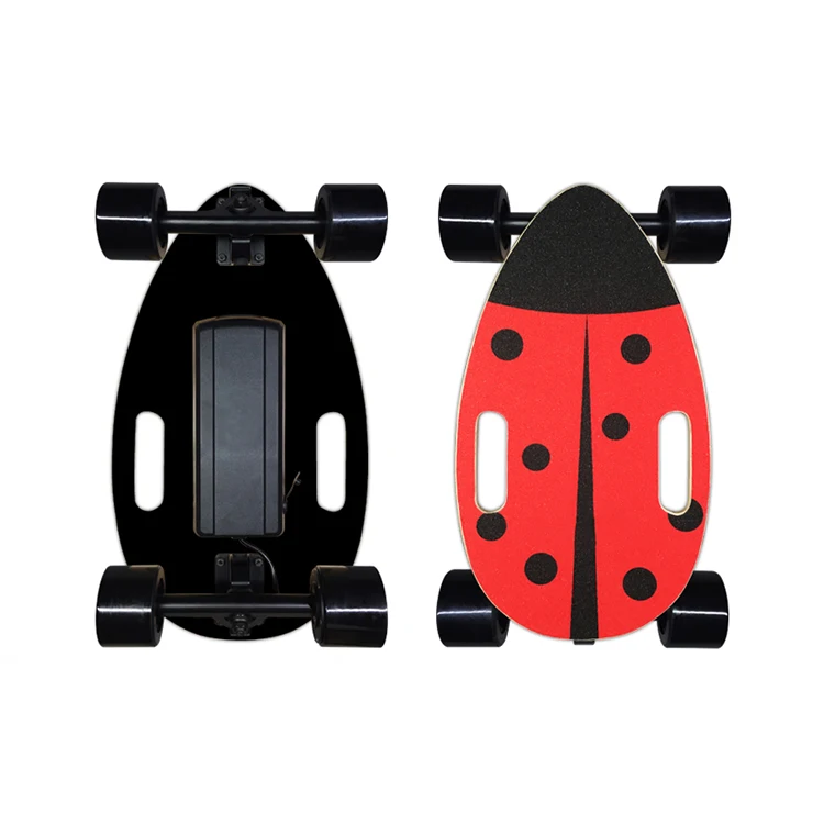 

Sport equipment Electric Skateboard Small Size East To Carry e Scooter for adult