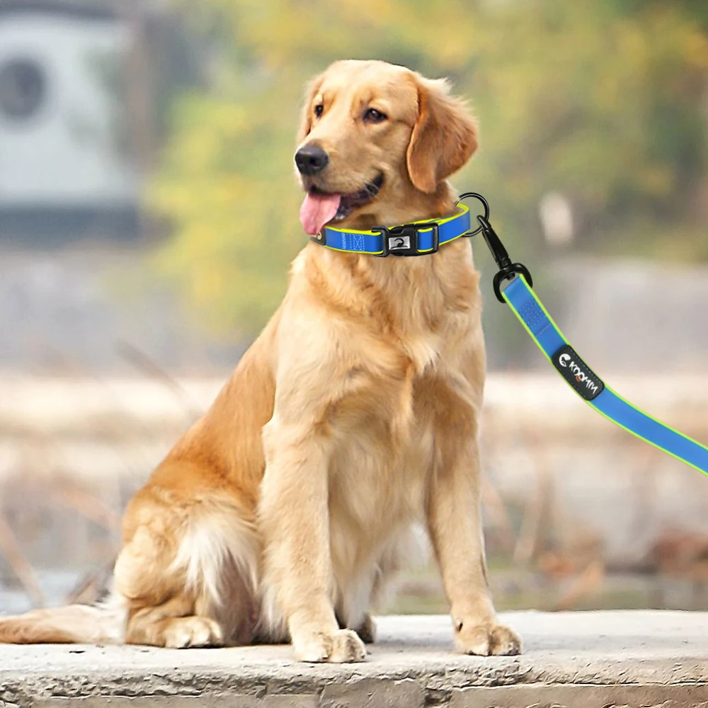 

Best Selling Products Rechargeable Dog Collar Pets Supplies, Printed