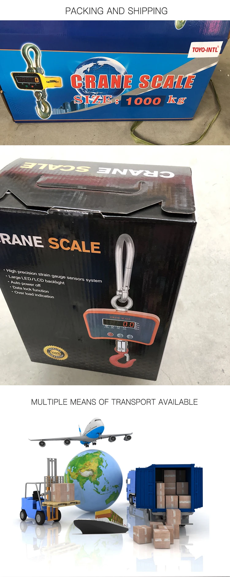 CRANE-SCALE_07.jpg