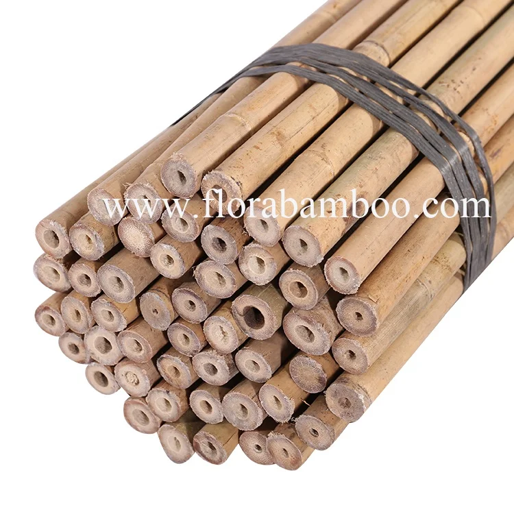 
Tonkin Cane Bamboo 240cm Dia.20-22mm for Tree Guards 