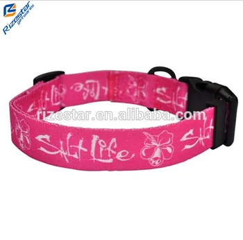 fancy dog collars and leashes