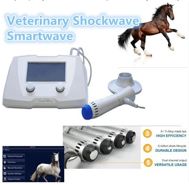 Focus Shock Wave Therapy Eswt Device Shockwave Equine For Animal Use Buy Shockwave Equine,Pain