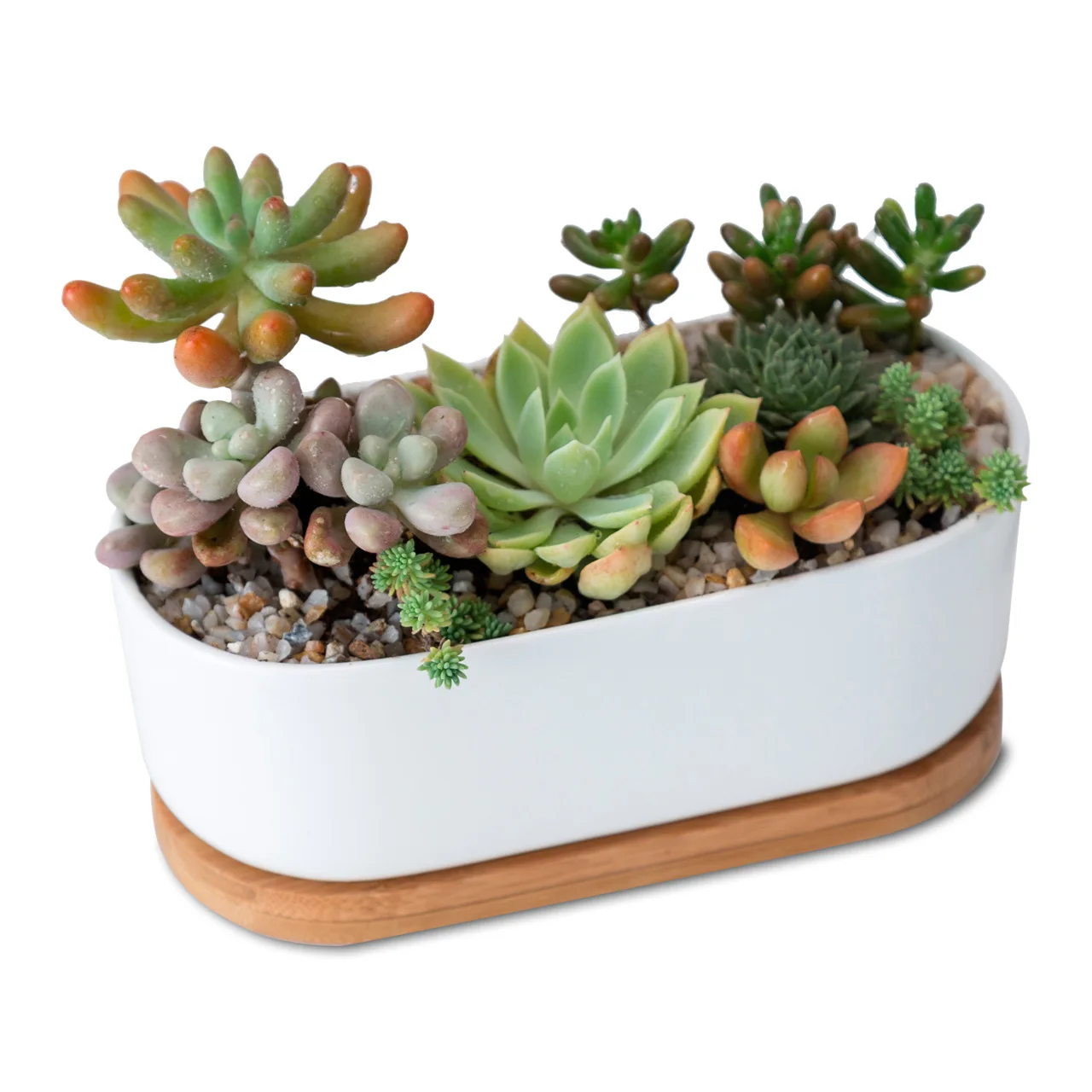 

Co-Arts White Oval Ceramic Flower Pot With Bamboo Tray Set