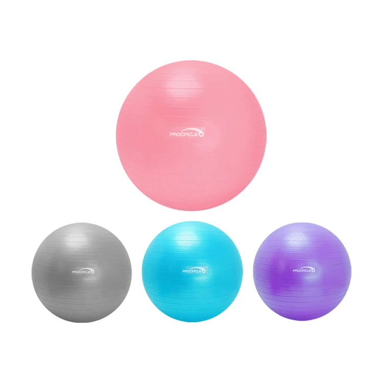 

55cm 65 cm 75cm Yoga Exercise Balls With Pump For Health and Fitness, Blue,grey,pink,violet