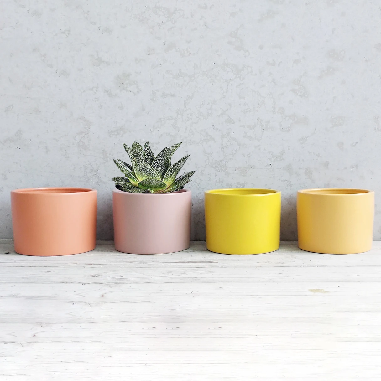 

Promotional modern home table decoration flower pot cheap ceramic mini planter pot, As picture
