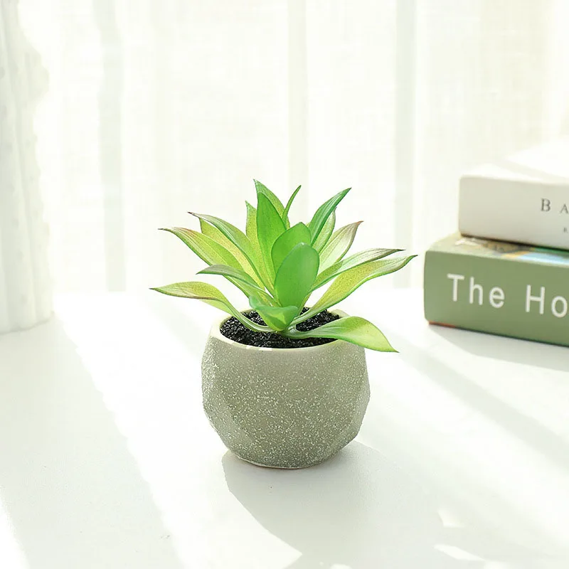 

Wholesale Morden Light Decorative Ceramic Green Simple Natural Haworthia Succulent Plant Artificial Succulent Plant Pot, Customizable