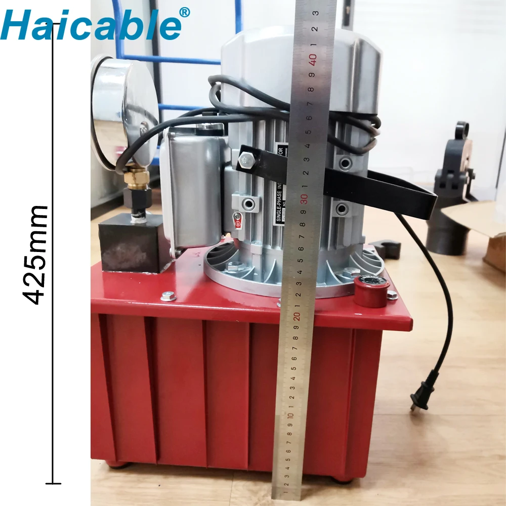 Electric Motor With Hydraulic Pump 24v 700 Bar Zcb 700d Work With Head