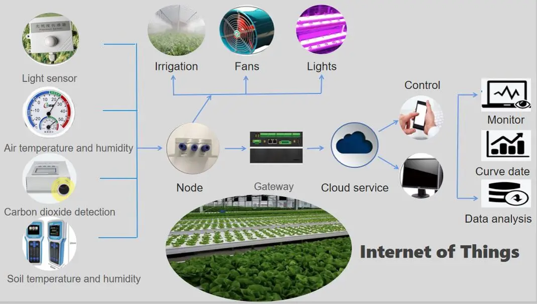 commercia agriculture vertical farming hydroponic system multi